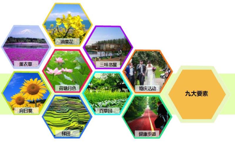 荷塘月色規(guī)劃設計