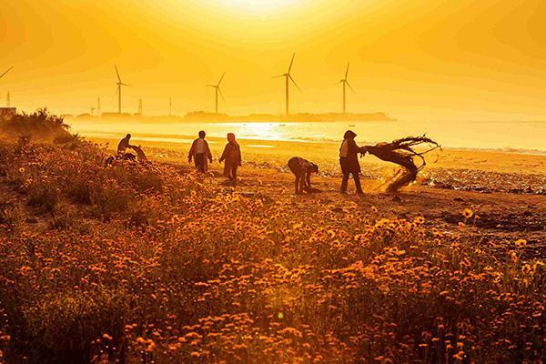 鄉村振興產業規劃