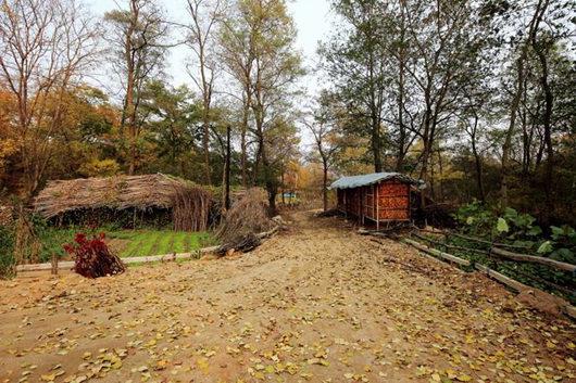 鄉村振興產業規劃